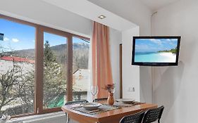 Cozy Montain Studio